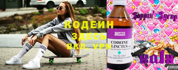 хмурый Алексин