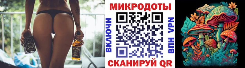 Псилоцибиновые грибы Psilocybine cubensis  Карачаевск 